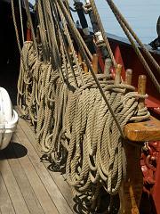 080508_Roald_Amundsen 435